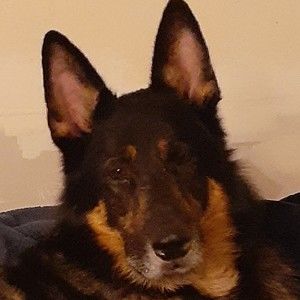 Meet your Posher, Auz